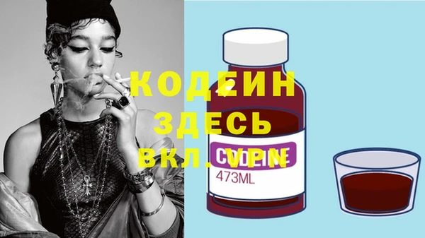хмурый Абаза