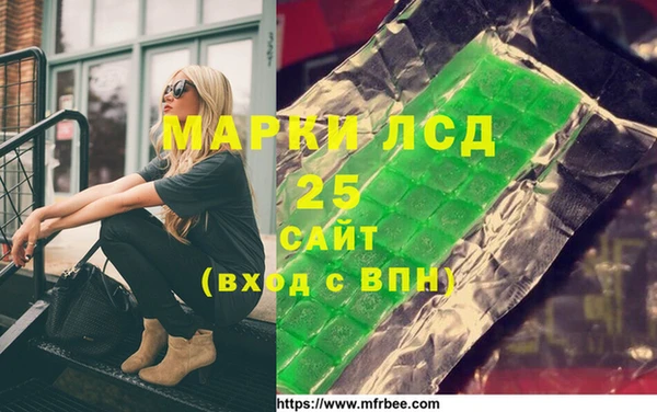 хмурый Абаза
