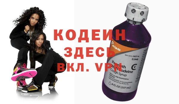 хмурый Абаза