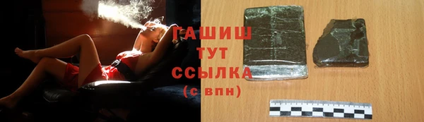 хмурый Абаза