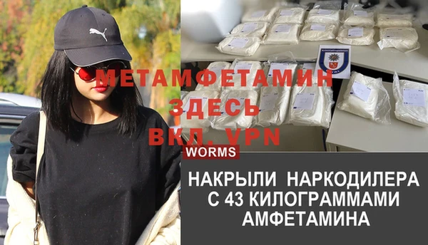 хмурый Абаза