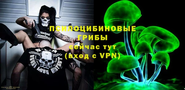 хмурый Абаза