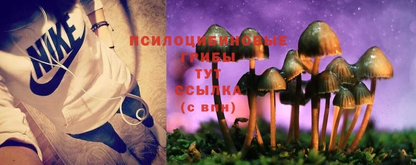 трава Алексин