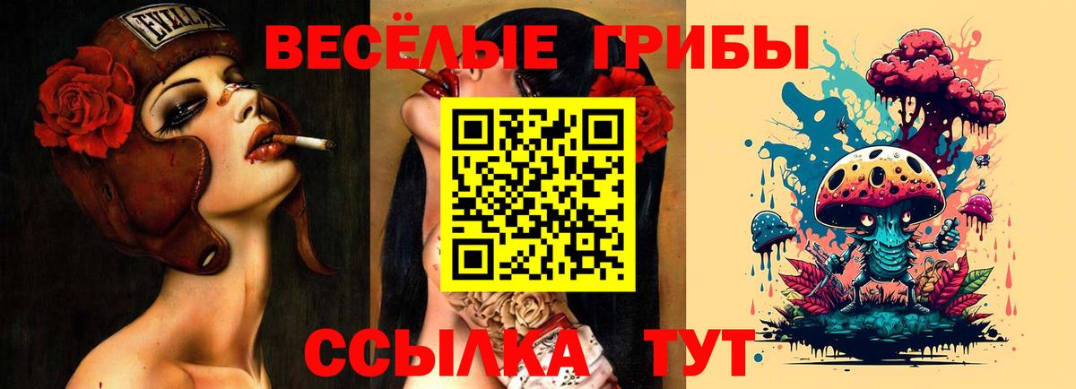 Псилоцибиновые грибы MAGIC MUSHROOMS  Вход с VPN  хочу наркоту  Галлюциногенные грибы Cubensis  Волоколамск 