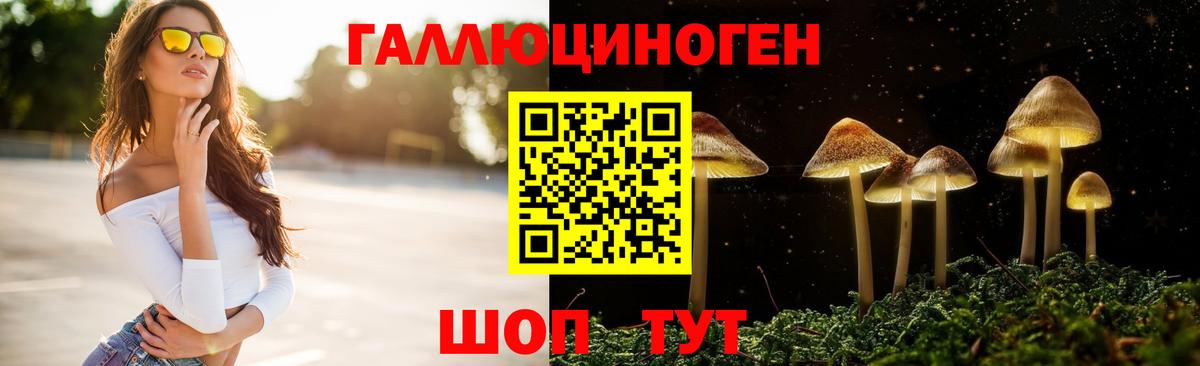 Галлюциногенные грибы мицелий Волоколамск